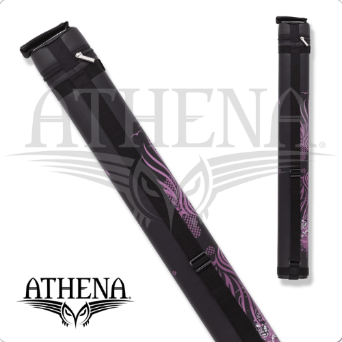 Athena ATHC02 2x2 Hard Case